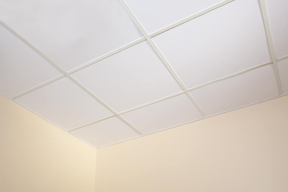 Duroglas Plus Pvc Clean Room Ceiling, Vinyl Ceiling Tiles